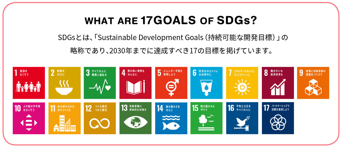 WHAT ARE 17GOALS OF SDGs?