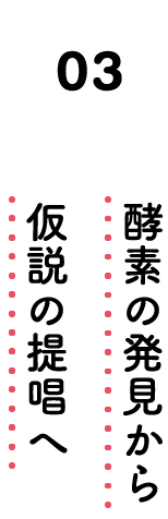 03. 酵素の発見から仮説の提唱へ