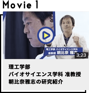 理工学部バイオサイエンス学科准教授朝比奈雅志の研究紹介