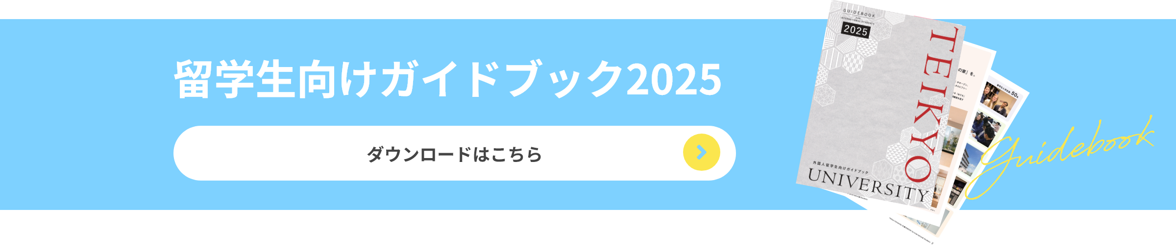 留学⽣向けガイドブック2024