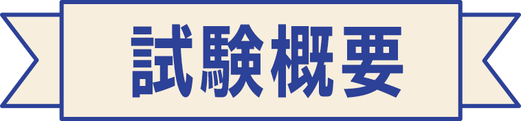 試験概要